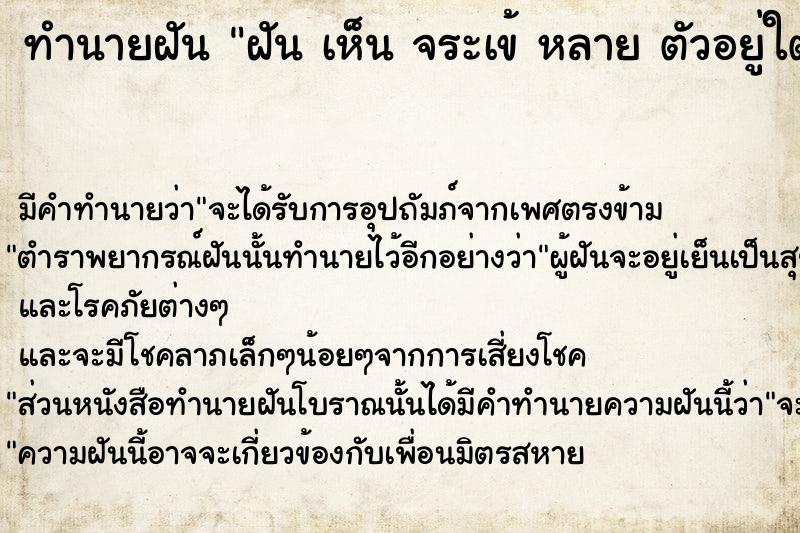 ทำนายฝันทำนายฝันฝันเห็นจระเข้หลายตัวอยู่ใต้ถุนบ้าน